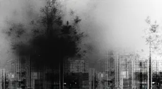 Experimental Toning Techniques in the Darkroom